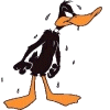 DaffyDuck's Avatar